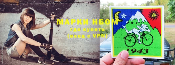Альфа ПВП Аркадак